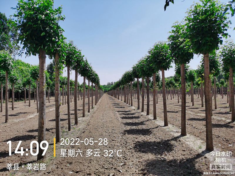 IMG_20220528_140918278_副本_副本.jpg IMG_20220528_140918278_副本_副本.jpg