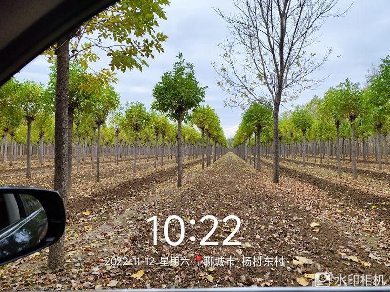 2022_11_12_10_22_54.jpg 2022_11_12_10_22_54.jpg